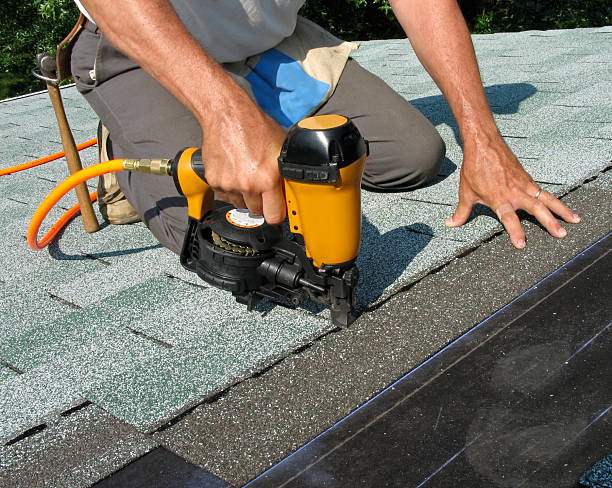 Best Local Roofing Companies  in Braddock Hills, PA